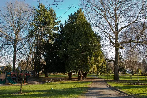 Roanoke Park, Seattle, January 2013