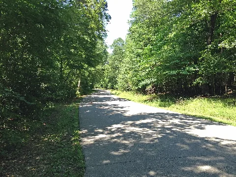 Robertsville State Park Road