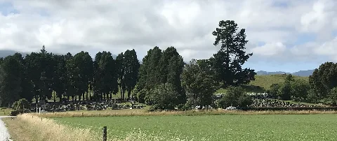 Rototai Cemetery 141