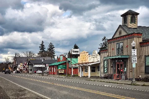 Roy, Wa — Mcnaught Rd S (2022 03 18), 01
