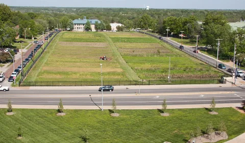 Sanbornfield