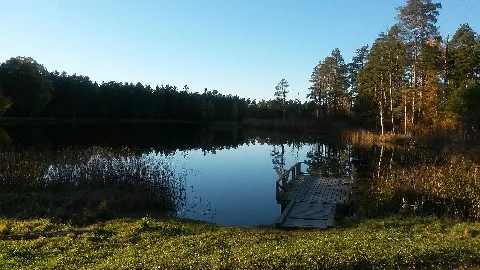 Sandbäckstjärnet 1
