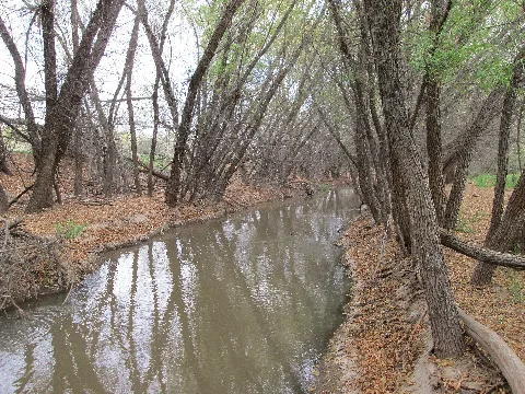 Santa Cruz River Red Rock Pinal County Arizona 2014