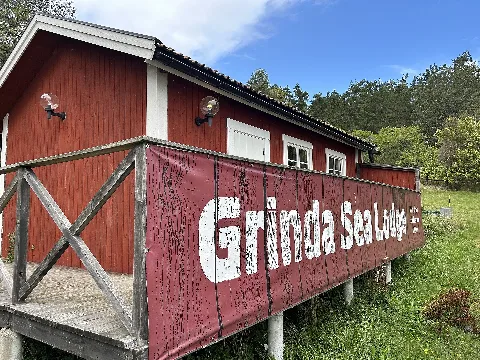 Sat Grinda 20250825 Batch 15