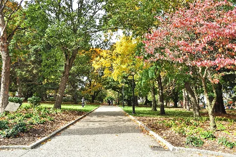 Seattle Denny Park October 2017