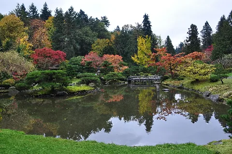 Seattle Japanese Garden 2011 05