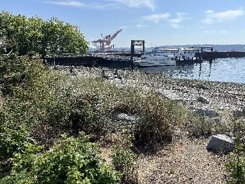 Seattle (July 2023) 227