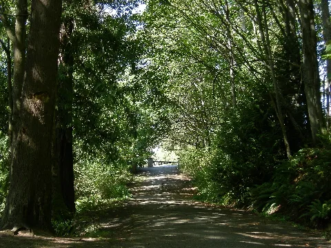 Seattle Schmitz Park Road 01