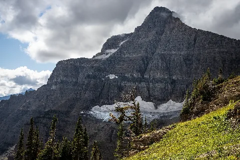 Sexton Glacier And A Whitebark Pine (48920113923)
