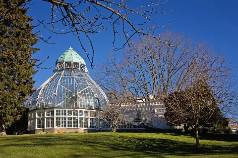 Seymour Botanical Conservatory