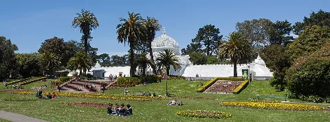 Sf Conservatory Of Flowers 2014 05