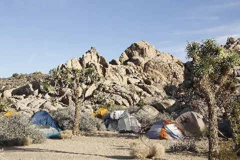 Sheep Pass Campground In Joshua Tree National Park 13