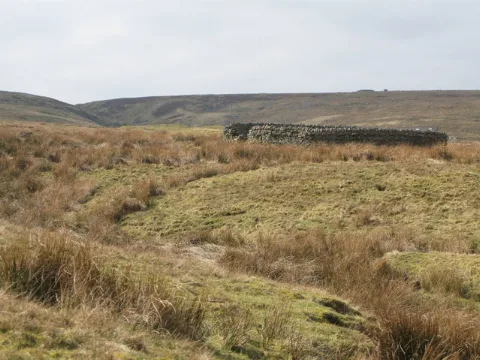 Sheepfold Above Rookhope Burn At Wolf Cleugh Geograph.org.uk 1230588