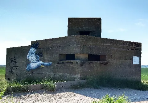Shellness Pillbox Side