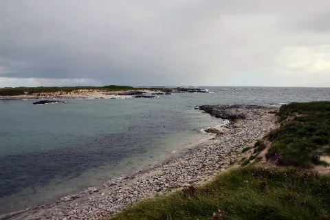 Sibhinis