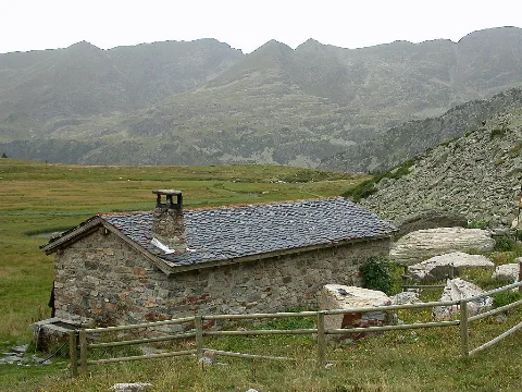 Siscaro