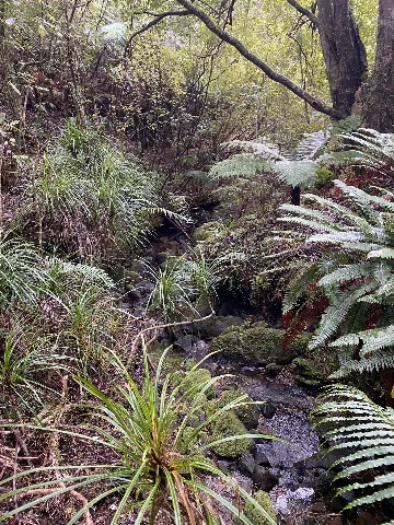 Skilton Gully
