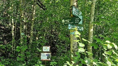 Skotta Naturreservat Bærum 01
