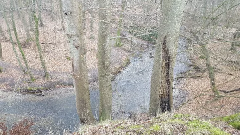 Skovhus Vænge 02
