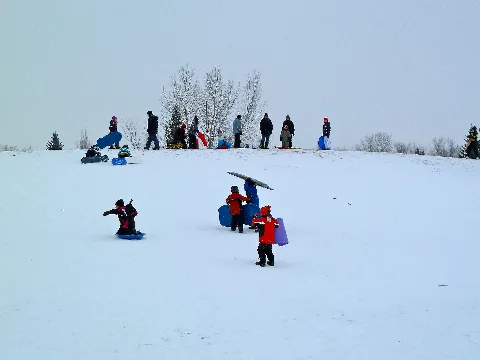 Sledding In Poland