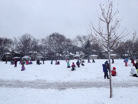 Snowman Frenzy
