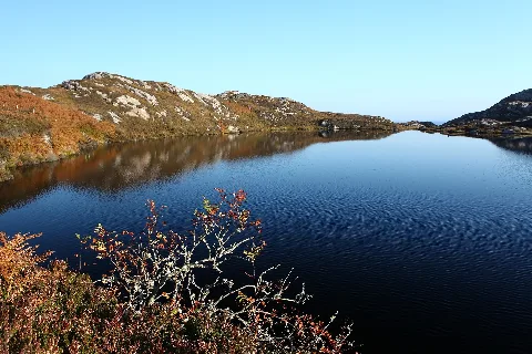 Sole Survivor By Lochan Gun Ghrunnd Geograph.org.uk 2114643