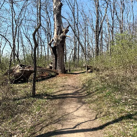 Southwest Way Park