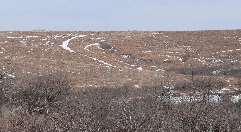 Spring Creek Prairie Wagon Ruts From W 1