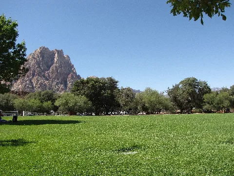 Spring Mountain Ranch State Park Field