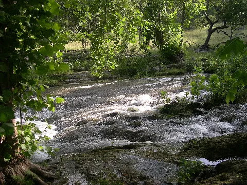 Springbranchinspringbranchtx