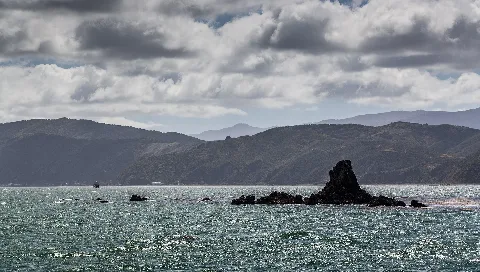 Steeple Rock, Wellington Harbour (8237683870)