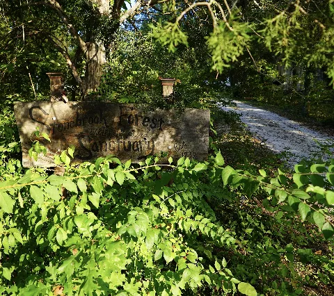 Stonebrook Property