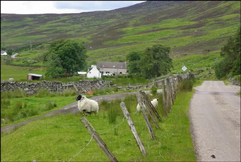 Strathrusdale 03