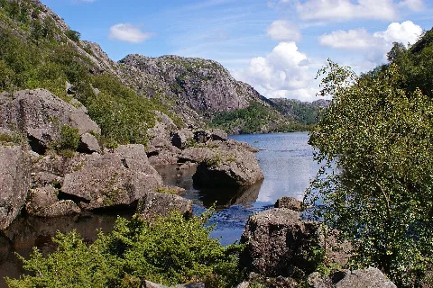 Summer Postcard ) (6005538066)