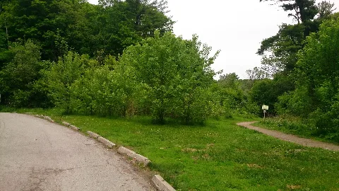 Sunnybrook Park Summer (7)