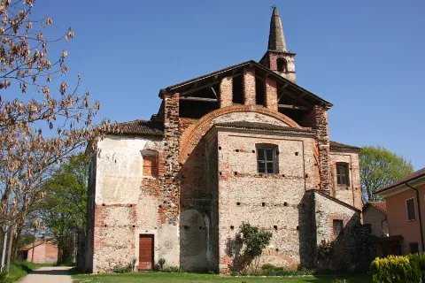 Suno Sangenesio