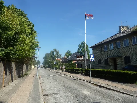 Svanevænget