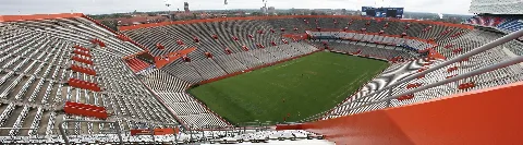 Swamp Panoramic