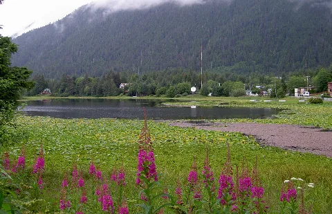 Swan Lake In Sitka 4599
