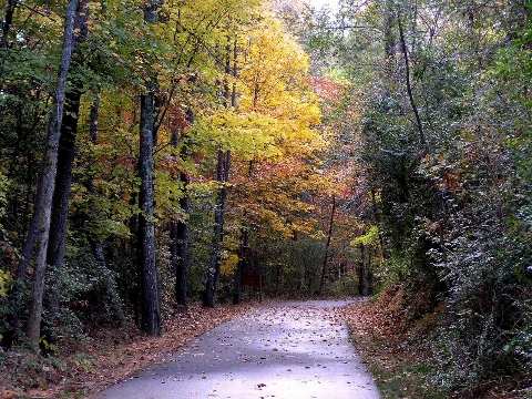 Tallulah Gorge Biking Trail Panoramio