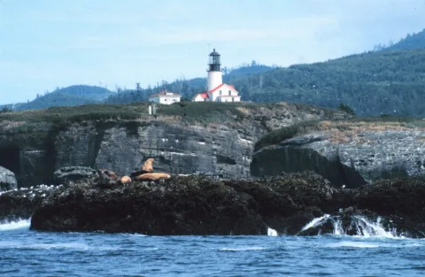 Tatooshlighthouse