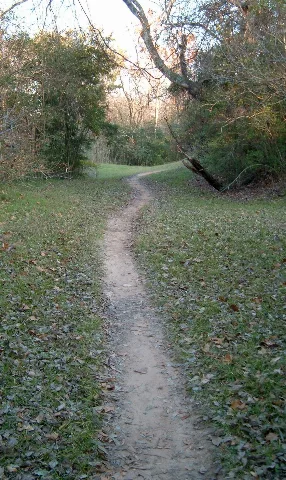 Terry Hershey Park Trail