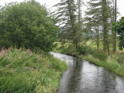 The Biggar Water At Rathan Geograph.org.uk 937670