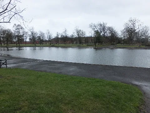 The Lake In Elder Park (Geograph 3574332)