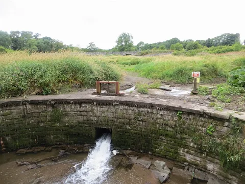 The Mill Dam Geograph.org.uk 3601912