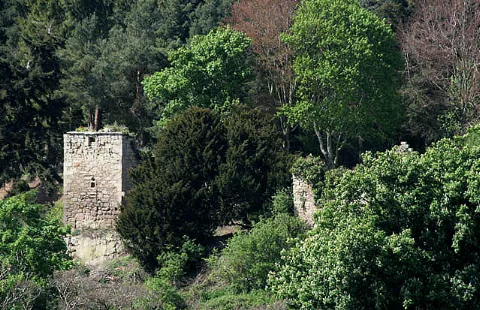 The Remains Of Blanerne Castle Near Edrom Geograph.org.uk 1288674
