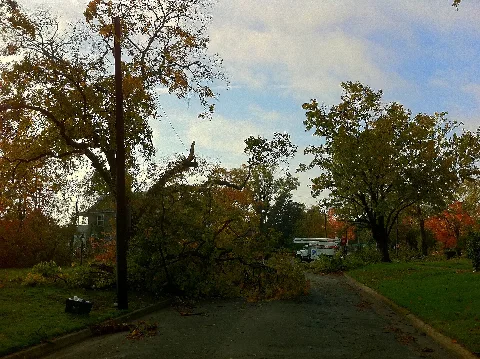 Tornado Damage! Pollard Park