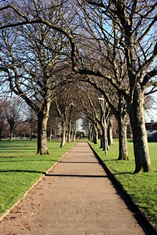 Tree Lined Path In Devonport Park Geograph.org.uk 670788