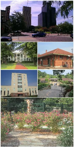 Tyler Tx Montage