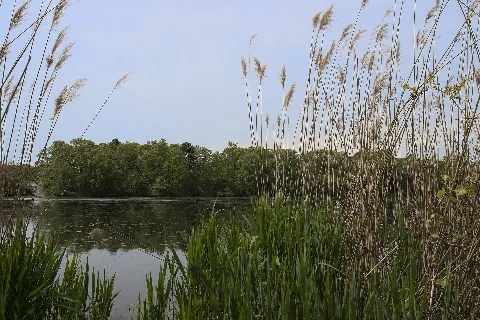 Upper Yapank Lake (14311083163)